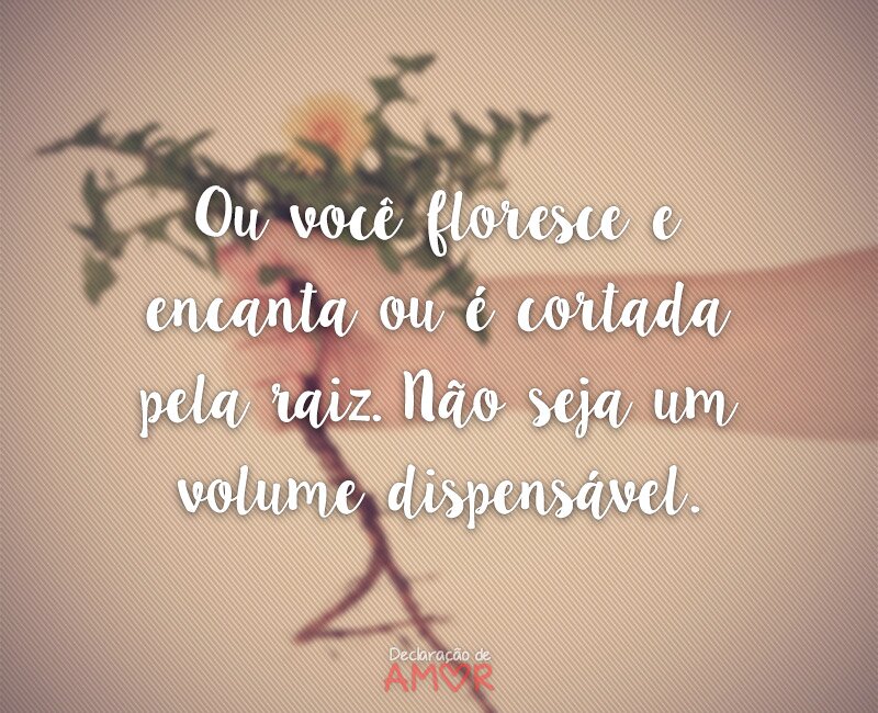 Ou você floresce e encanta ou é cortada pela raiz