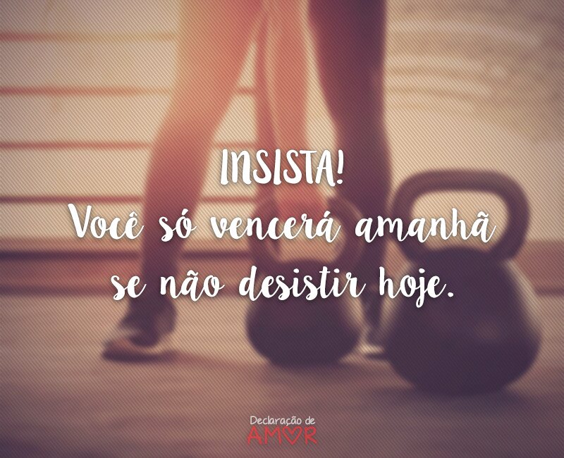 Insista