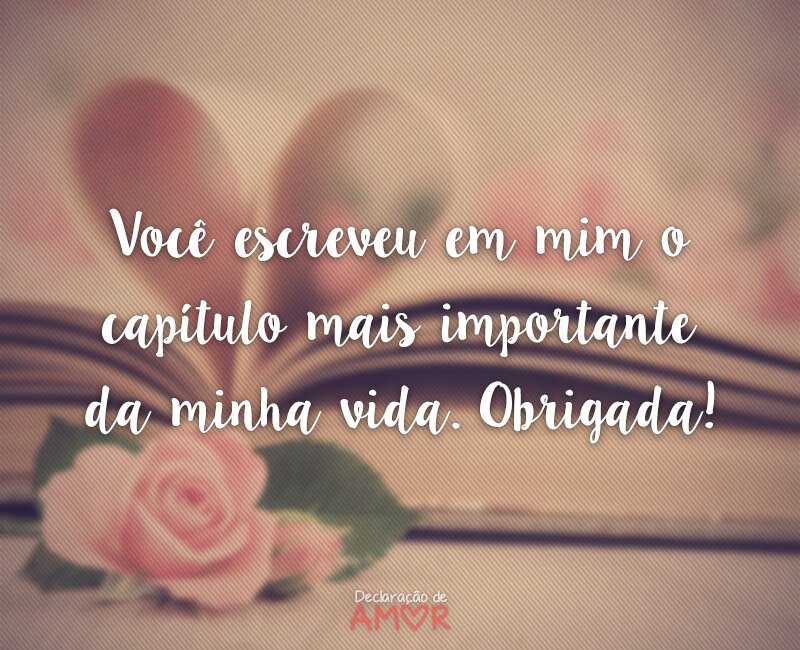 Você escreveu em mim o capítulo mais importante da minha vida