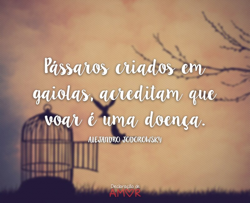 Pássaros criados em gaiolas