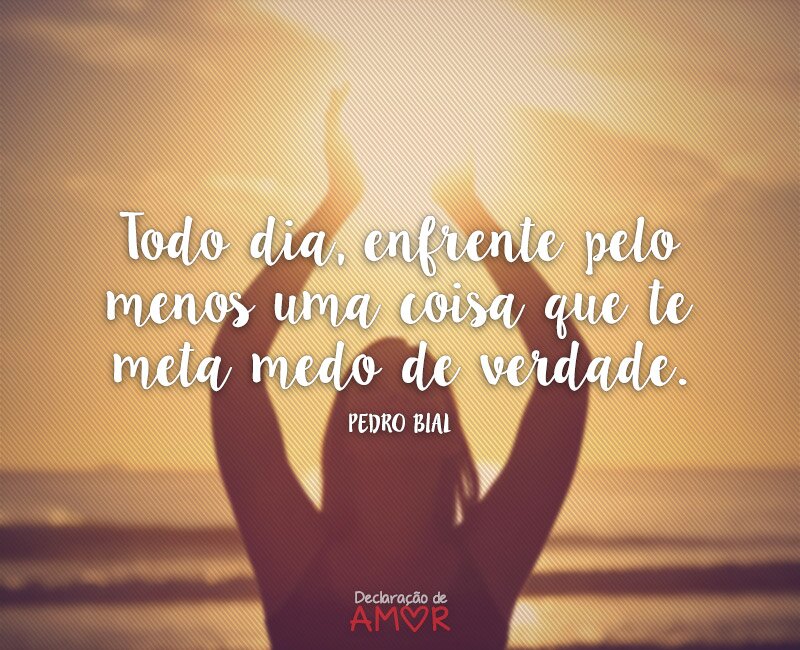 Todo dia