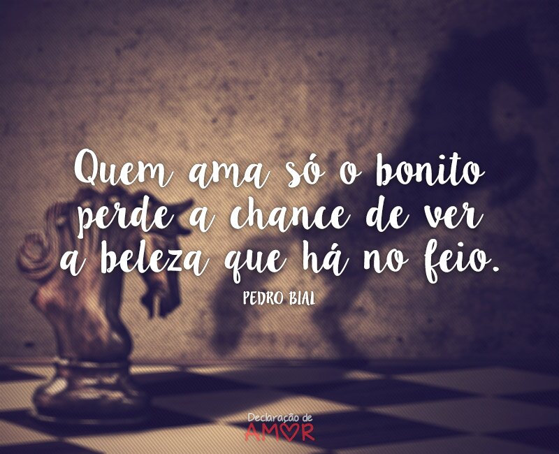 Quem ama só o bonito perde a chance de ver a beleza que há no feio
