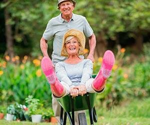 Mensagens Dia dos Avós