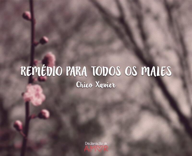 Remédio Para Todos os Males
